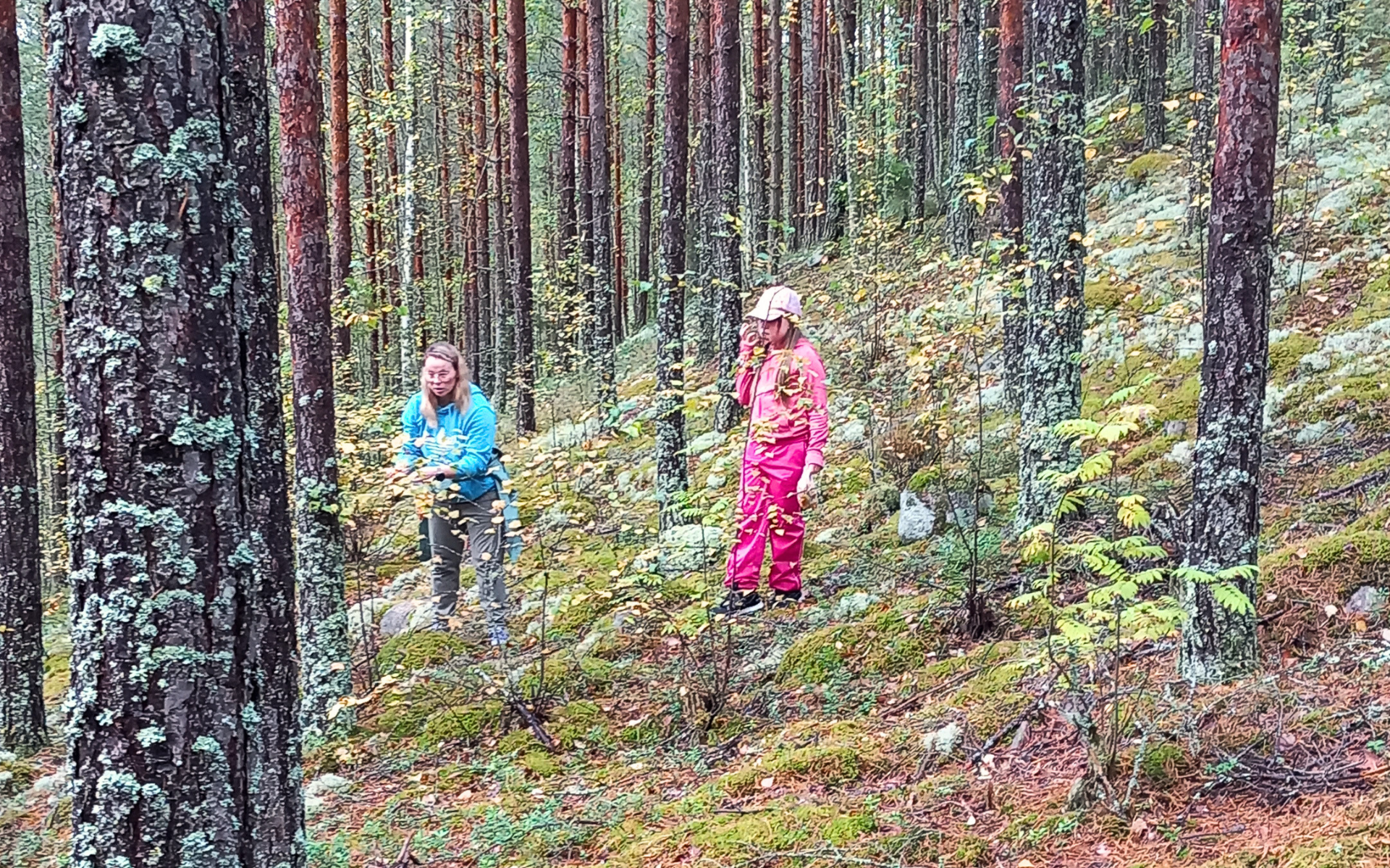 Näe hyvä mussa